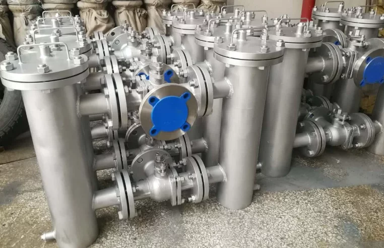Duplex Basket Strainer